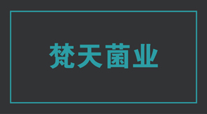 食品行业昌都冲锋衣设计款式